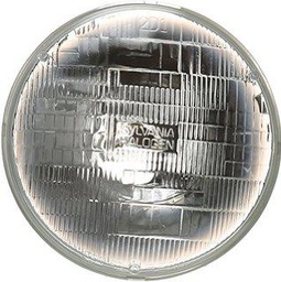 [H6024] Wagner Bulb
